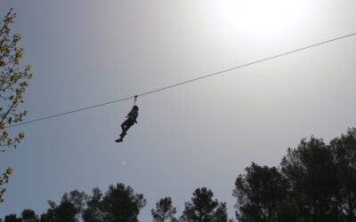 El Bosc Animat no s’atura!